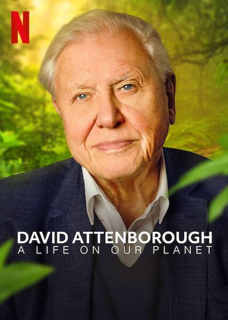 Serie David Attenborough: A Life on Our Planet | Netflix Official Site