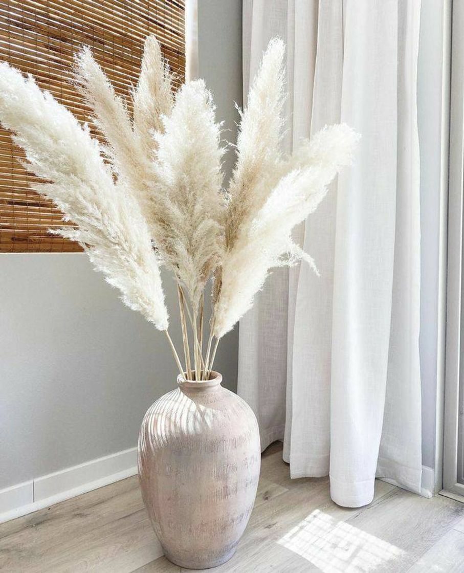 Moda Pampa grass decor