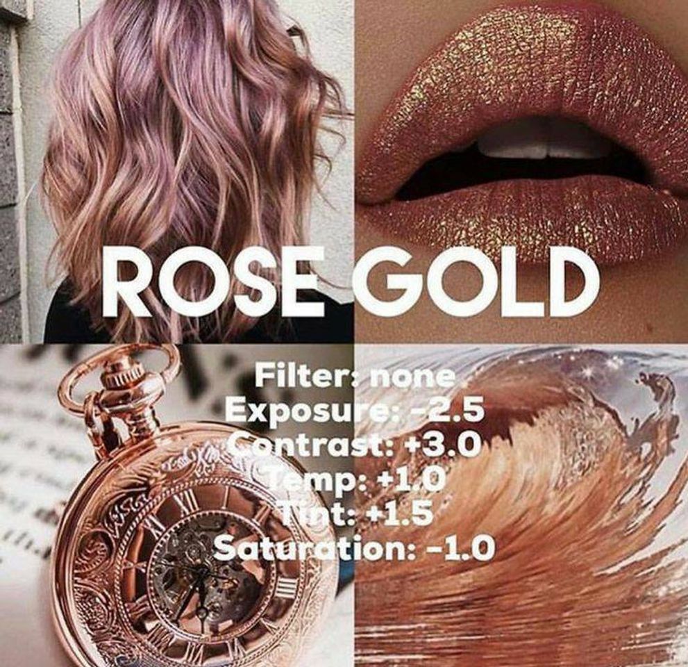 Fashion Filter Rose Gold