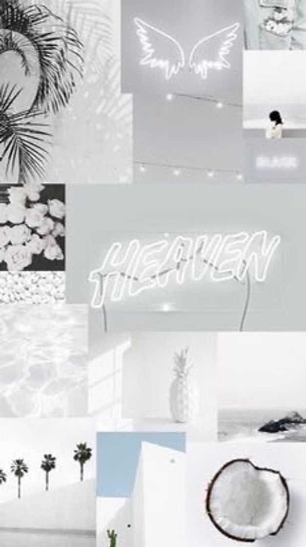 Fashion Wallpaper White 🕊