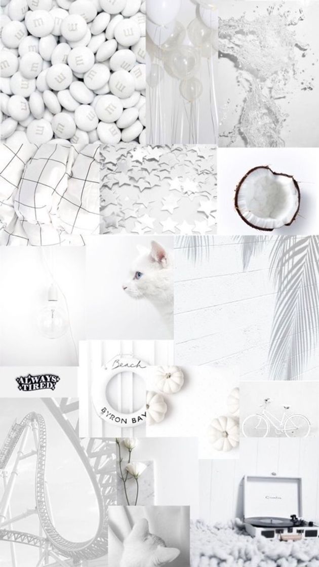 Fashion Wallpaper White |||🕊