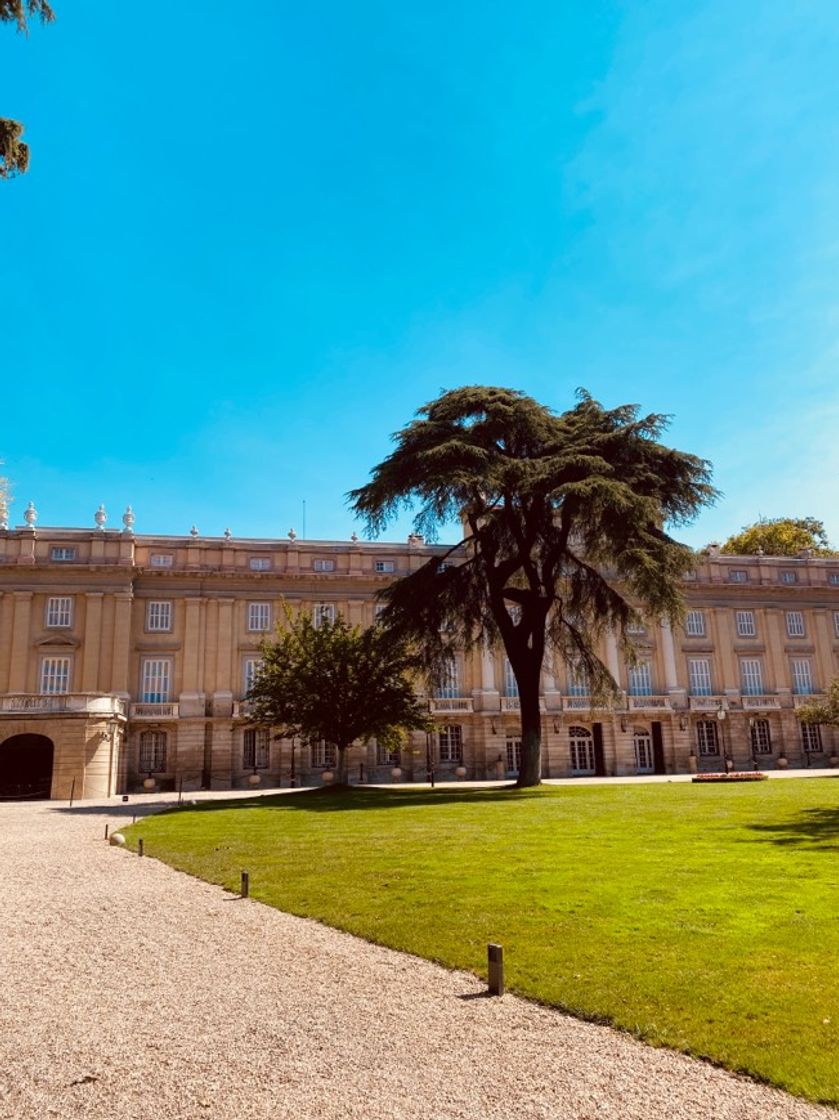 Place Palacio de Liria