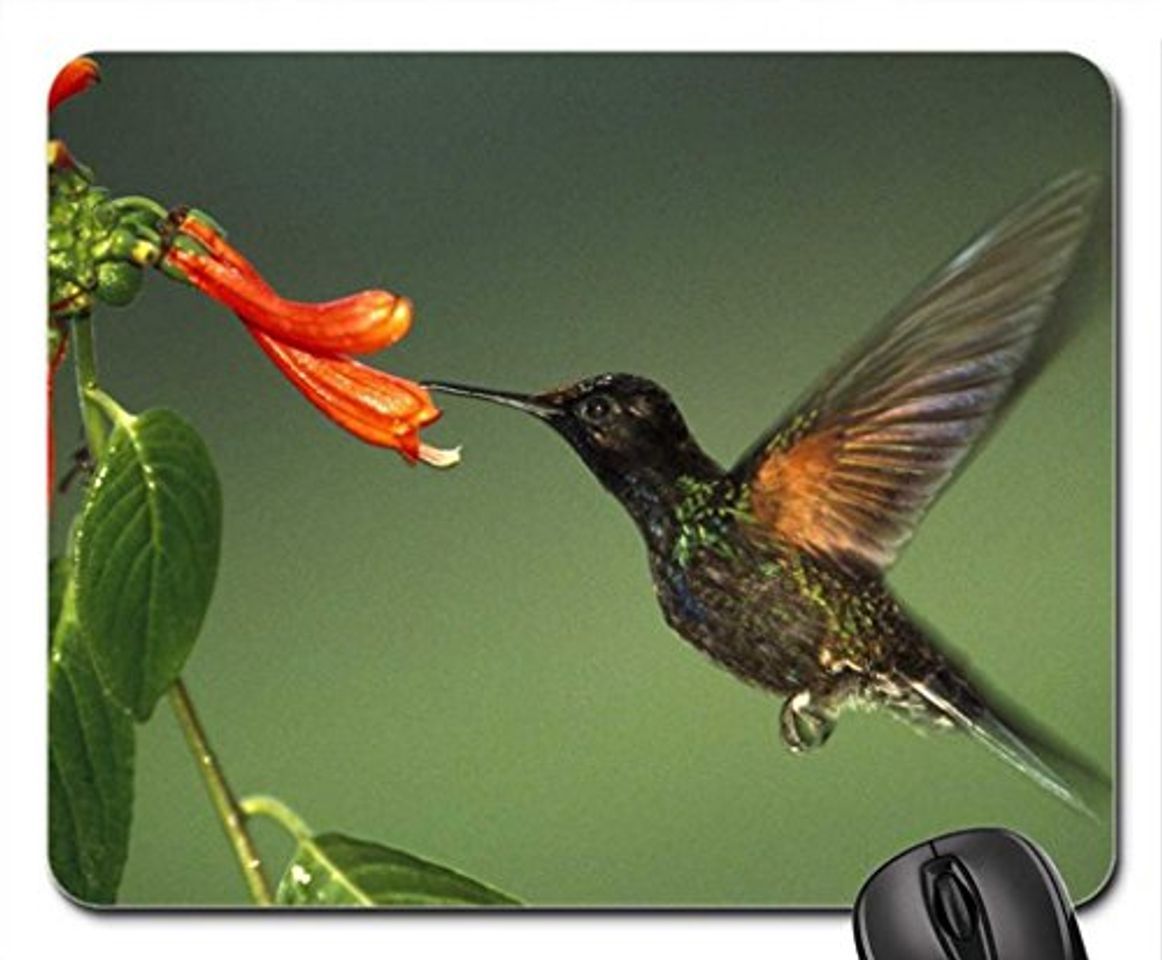 Producto BEIJA - FLOR Mouse Pad, Mousepad