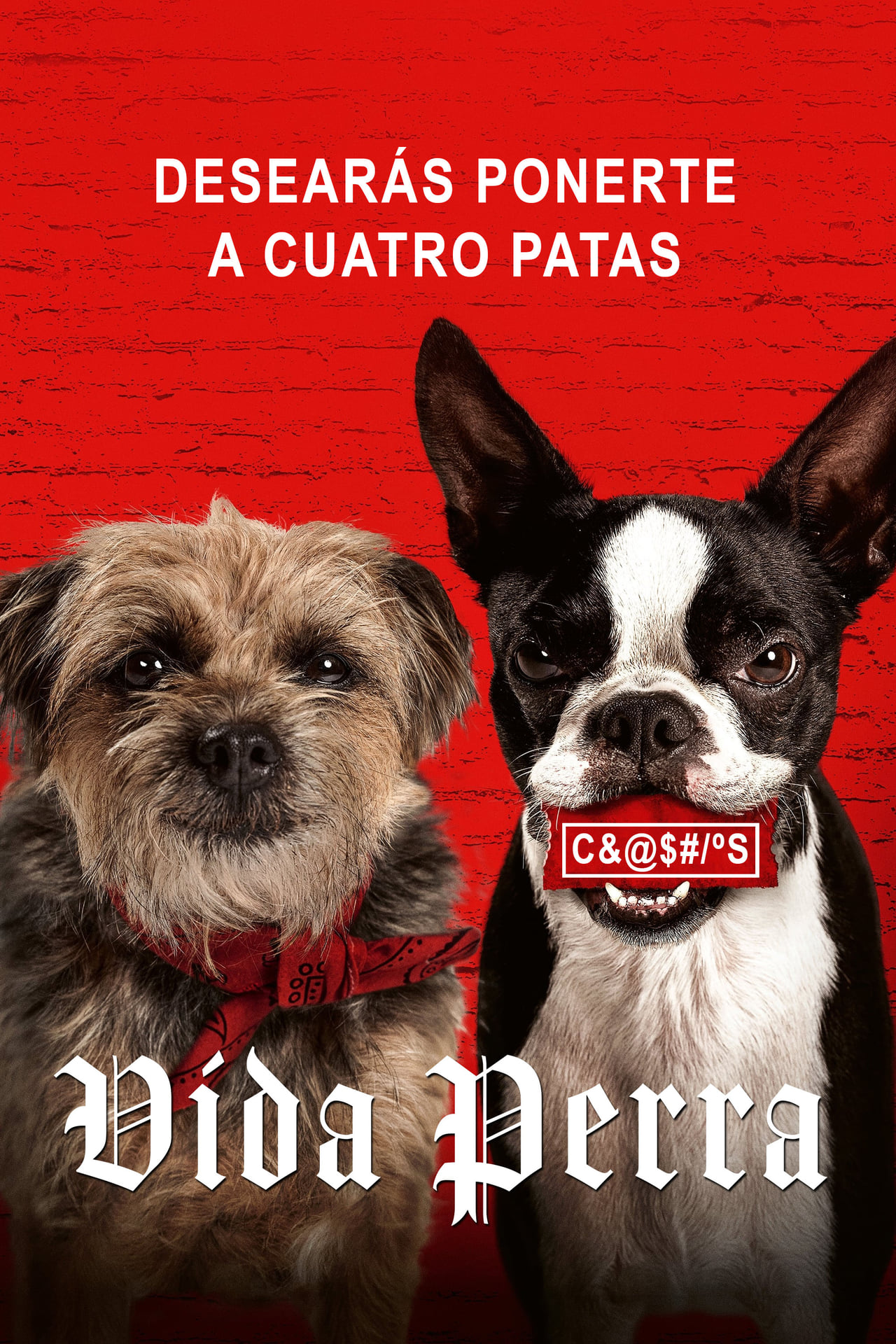 Movie Vida perra