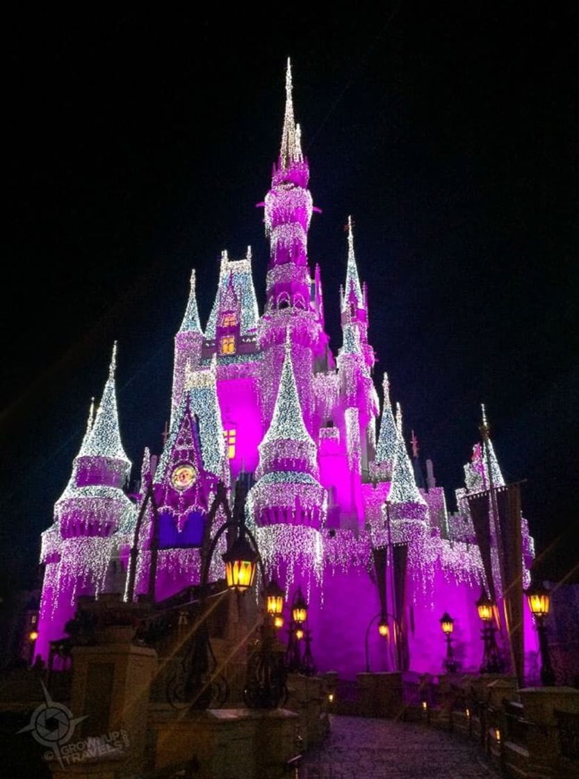 Fashion magic kingdom