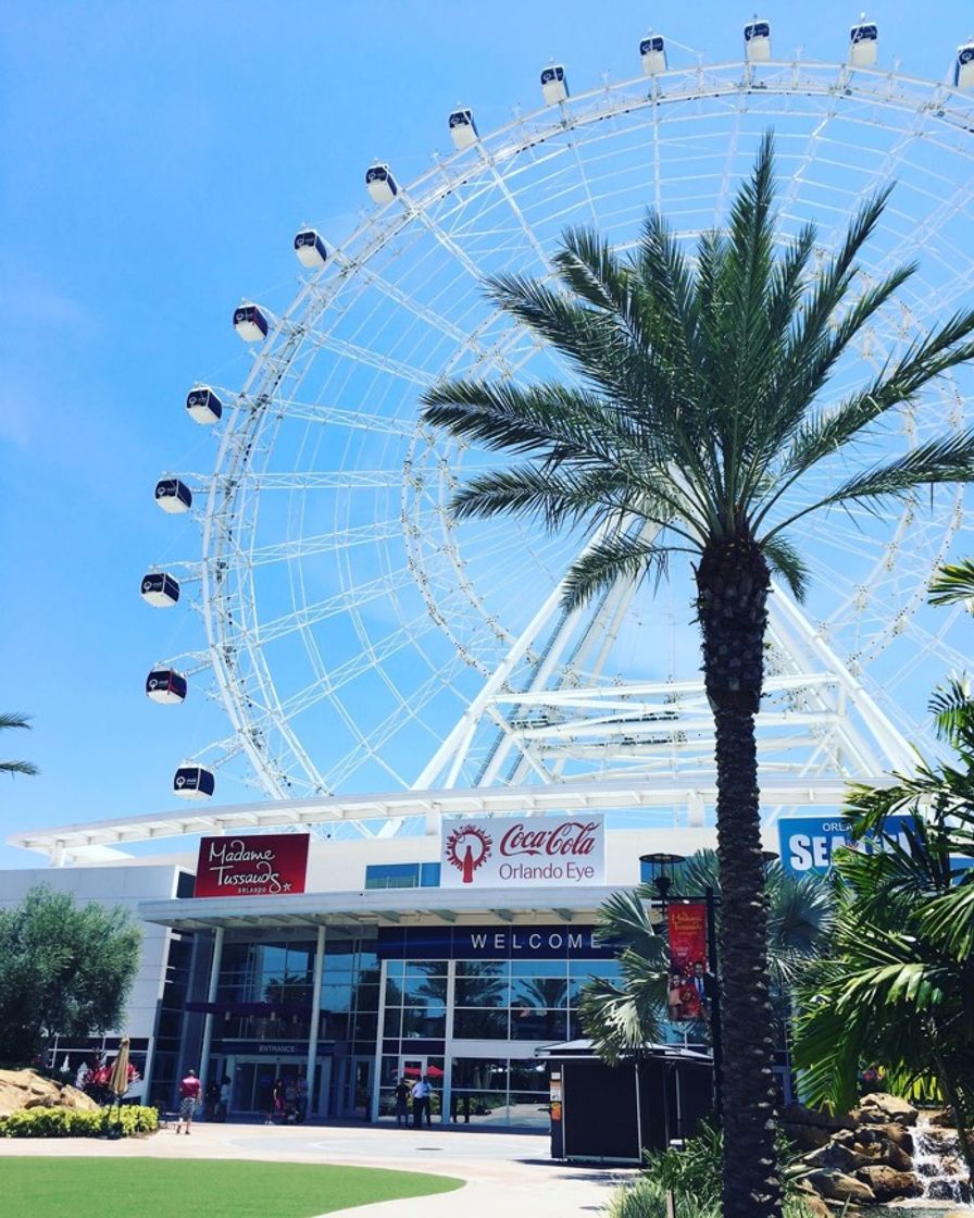 Fashion orlando eye