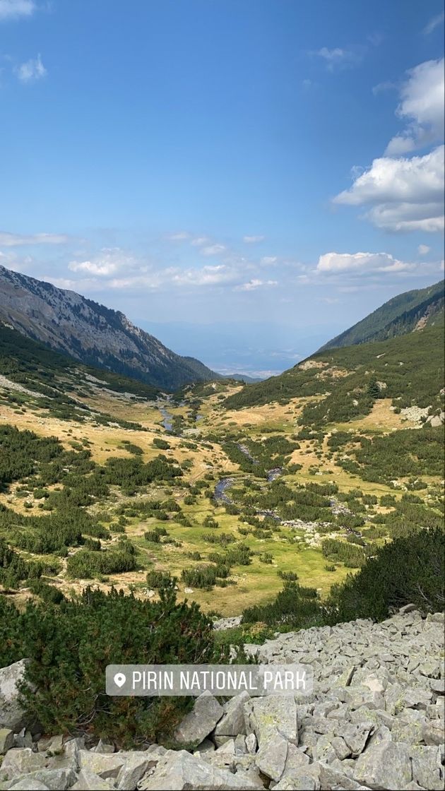 Moda Pirin National Park, Bulgaria 