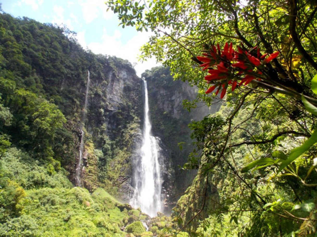 Lugar Rota das Cachoeiras