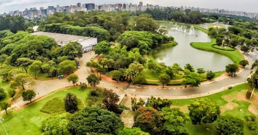Ibirapuera Park - Parque Ibirapuera Conservação