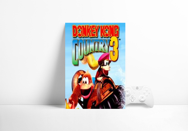 Donkey Kong Country 3