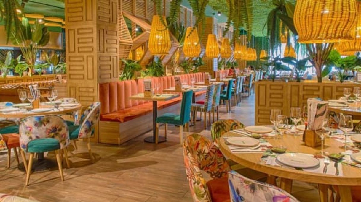 Restaurantes Amazonia chic 