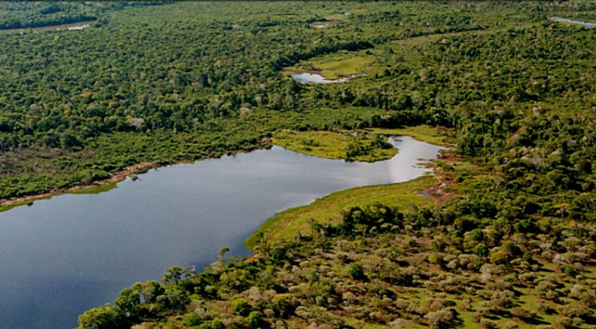 Lugar Ilha do Bananal