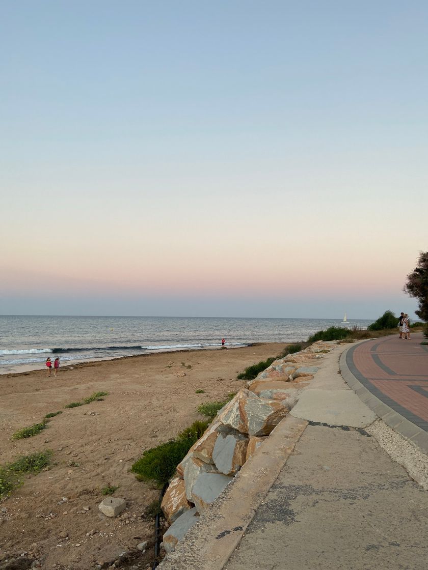 Lugar Playa de la Mata