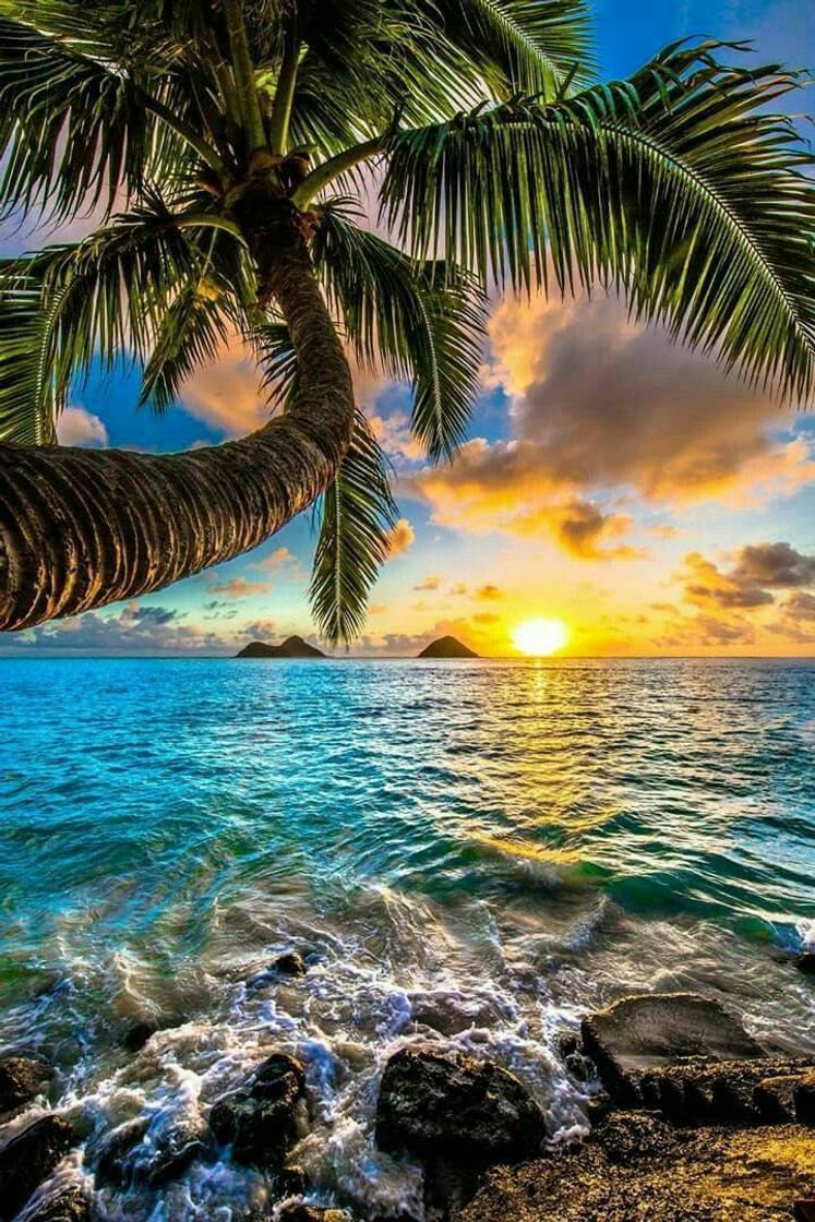 Paisagens 
