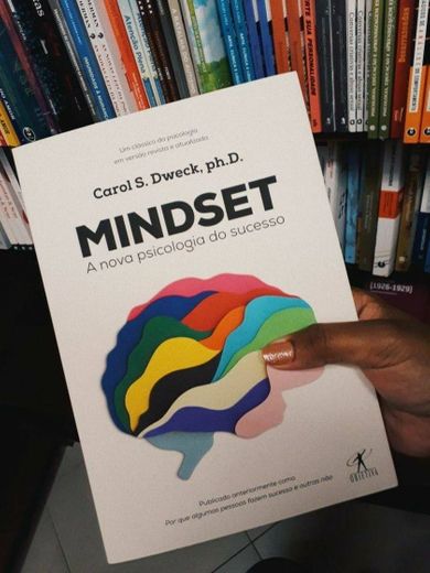 Livro Mindset