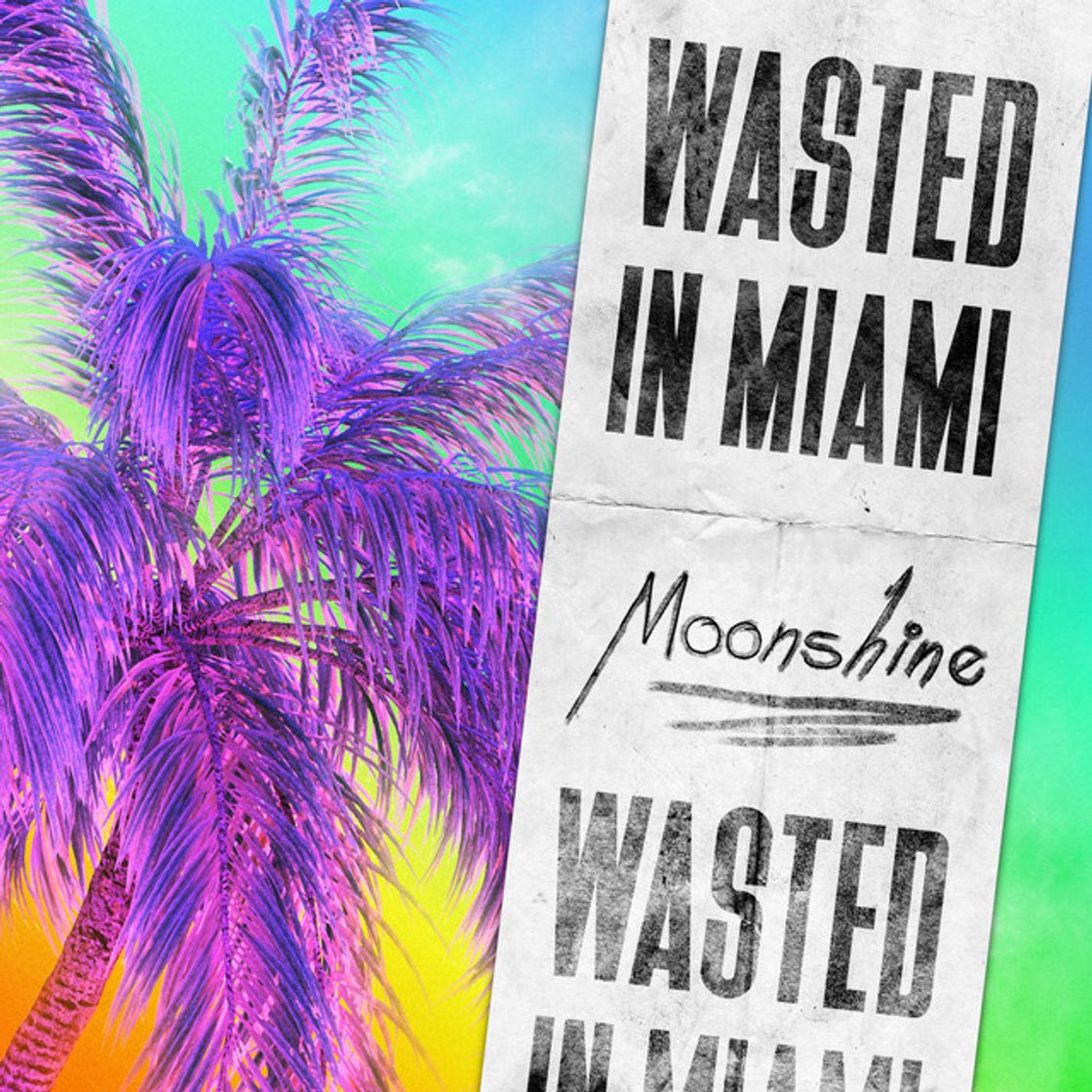 Music Wasted in Miami