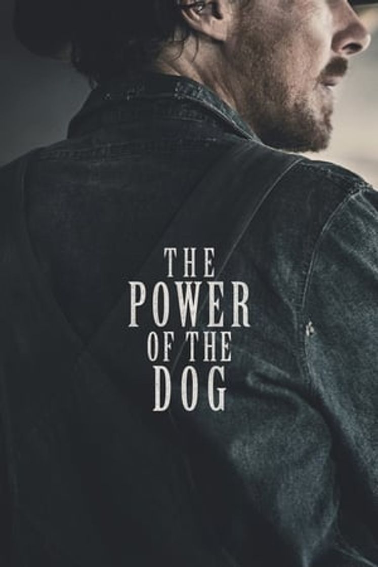 Película El poder del perro