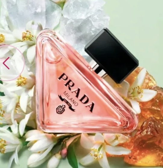 Social Paradox Prada