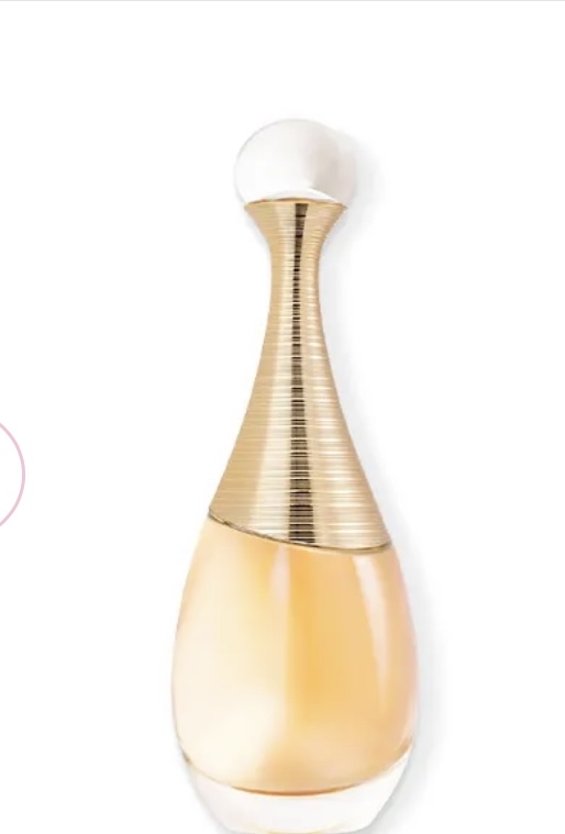 Social Lady Dior