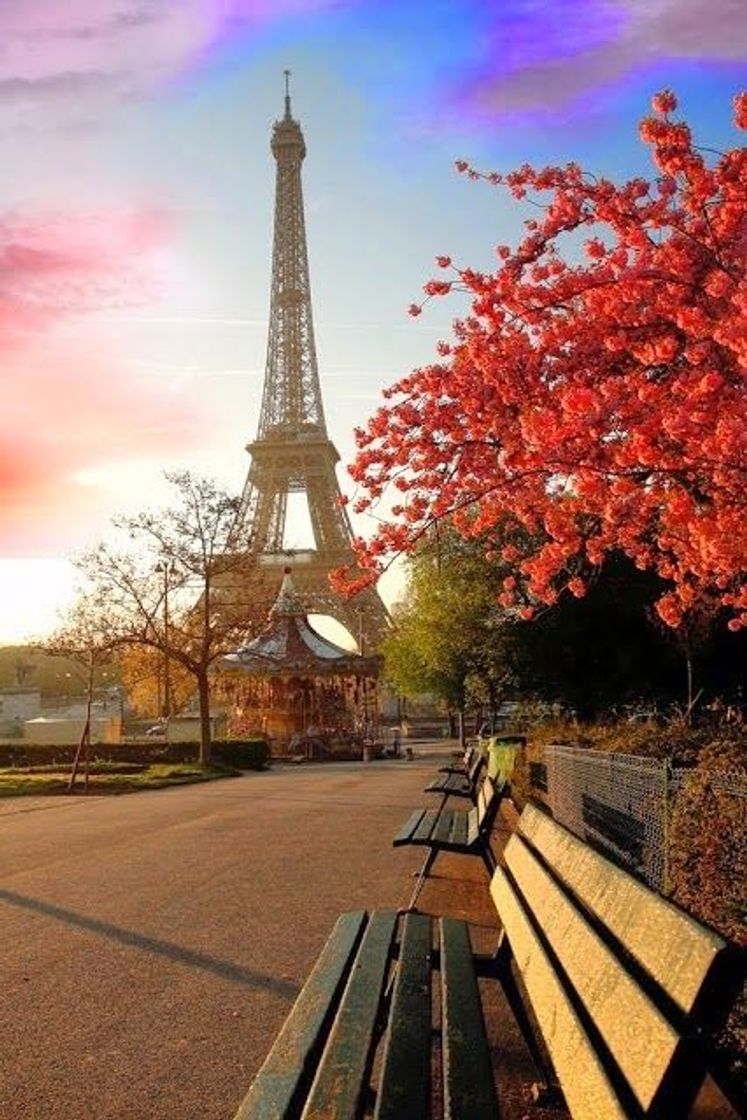 Place Francia