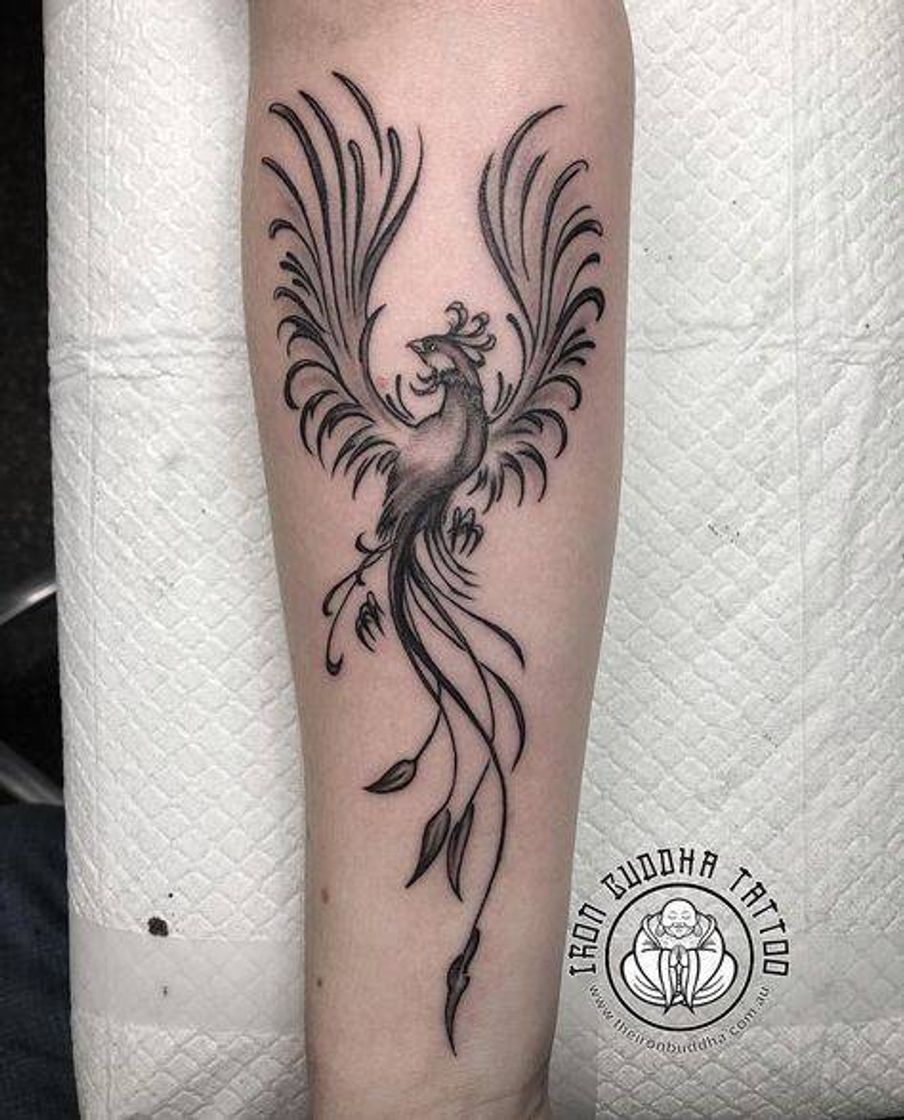 Social Tattoo feminina fênix