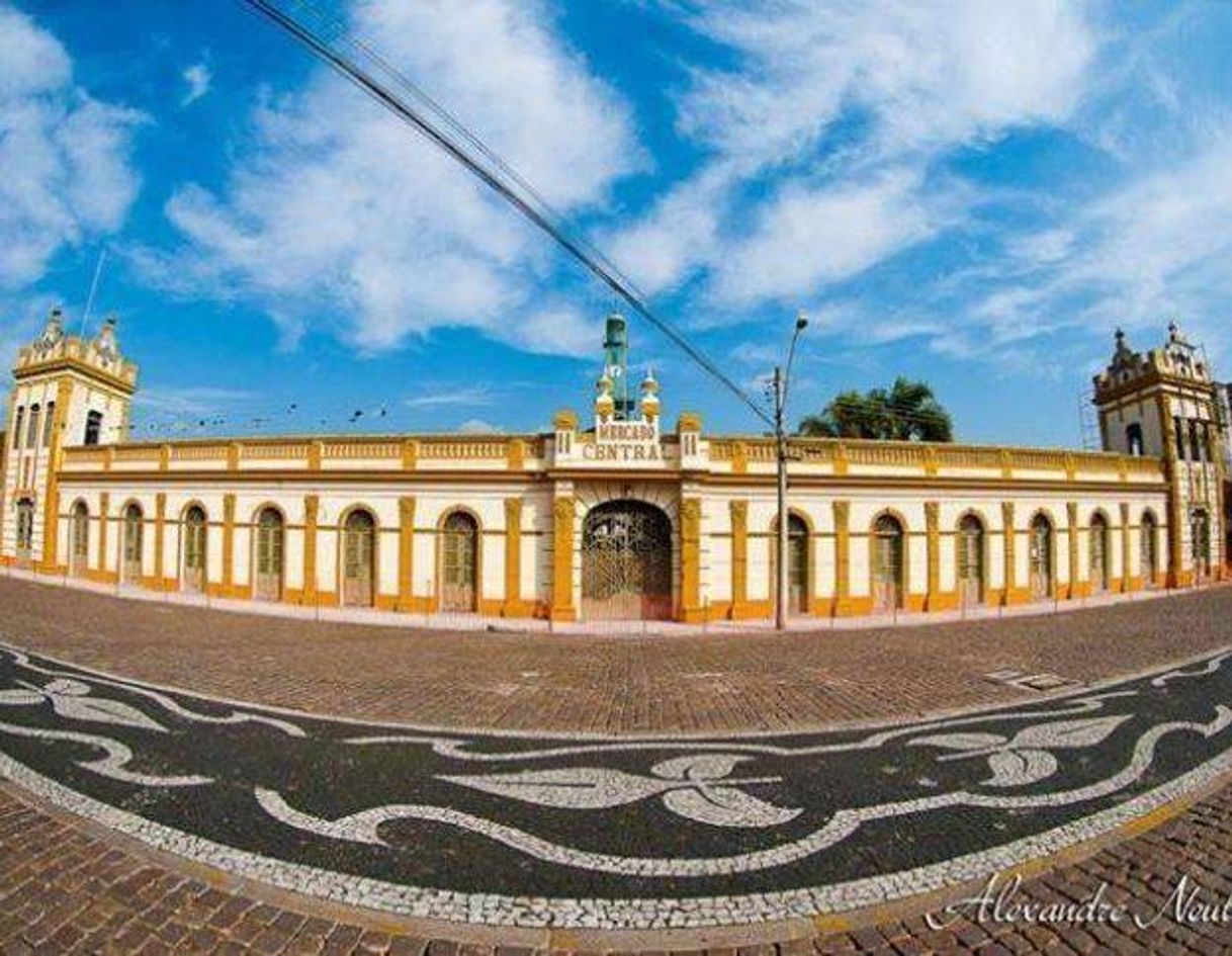 Place Pelotas