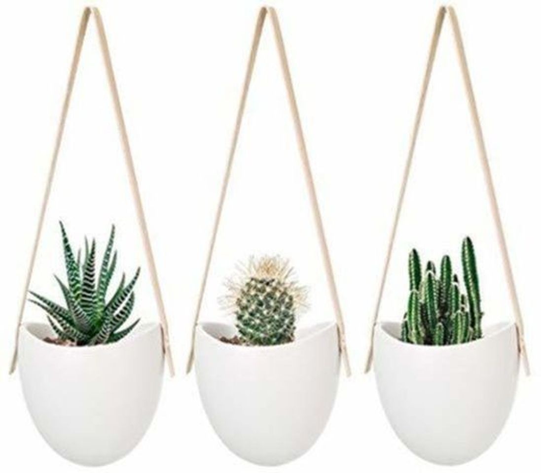 Social Mkouo cerámica Colgante plantador suculento Aire Planta Maceta decoración de la Pared