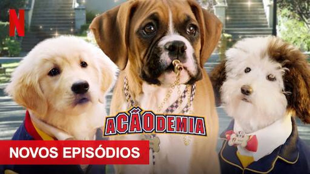 Serie ACÃODEMIA