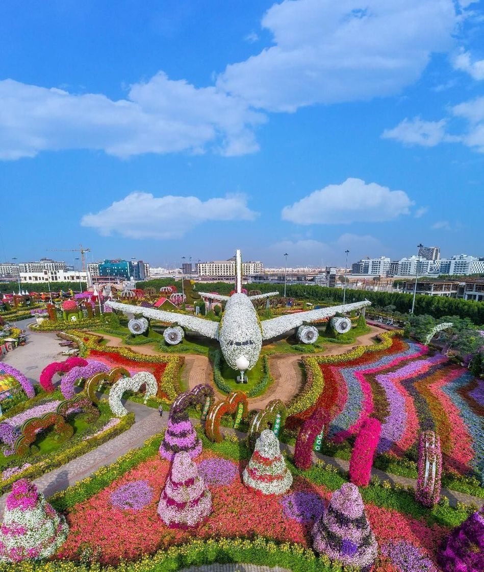 Lugar Miracle Garden