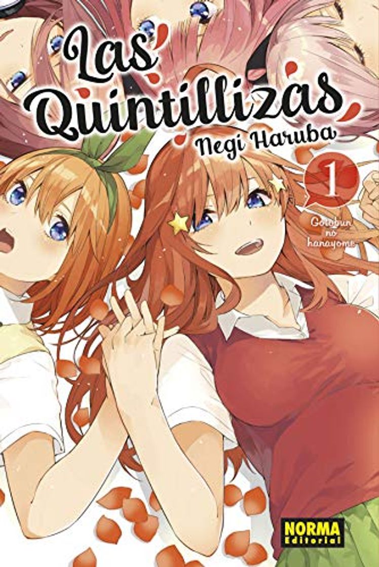 Libro Las Quintillizas 1