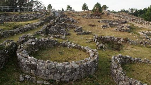 Citânia de Santa Luzia