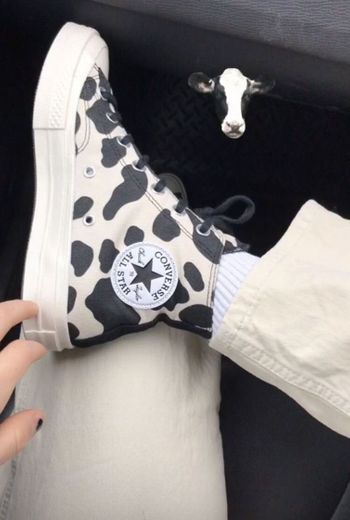 All Star cow animal print