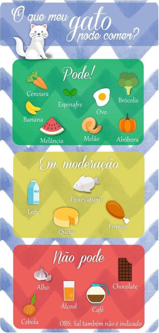 Social Dicas para gateiros🐱