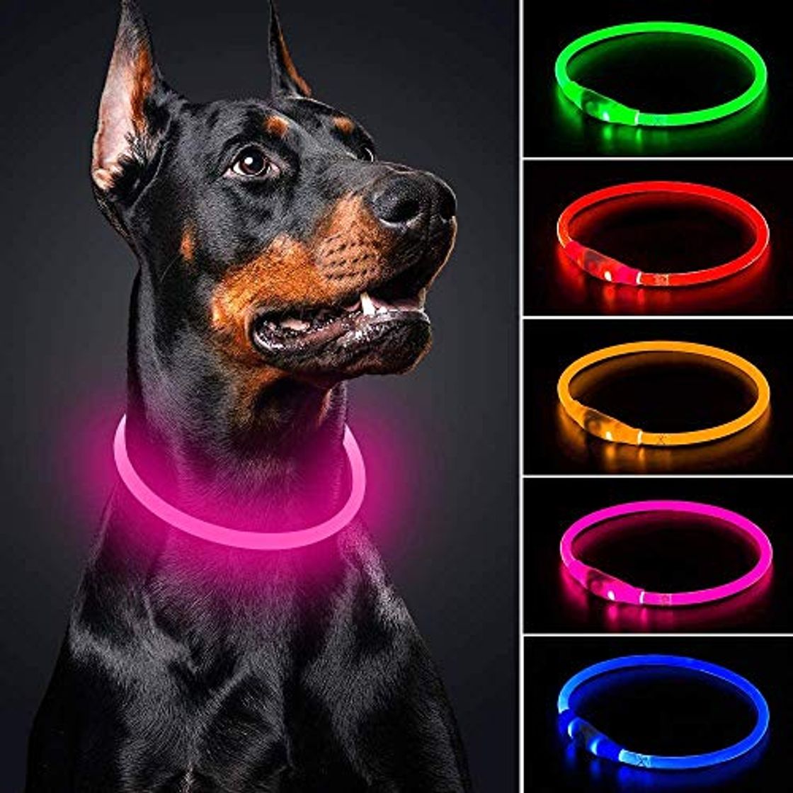 Producto Collar de perro LED Mini USB recargable TPU Light Up Safety Pet