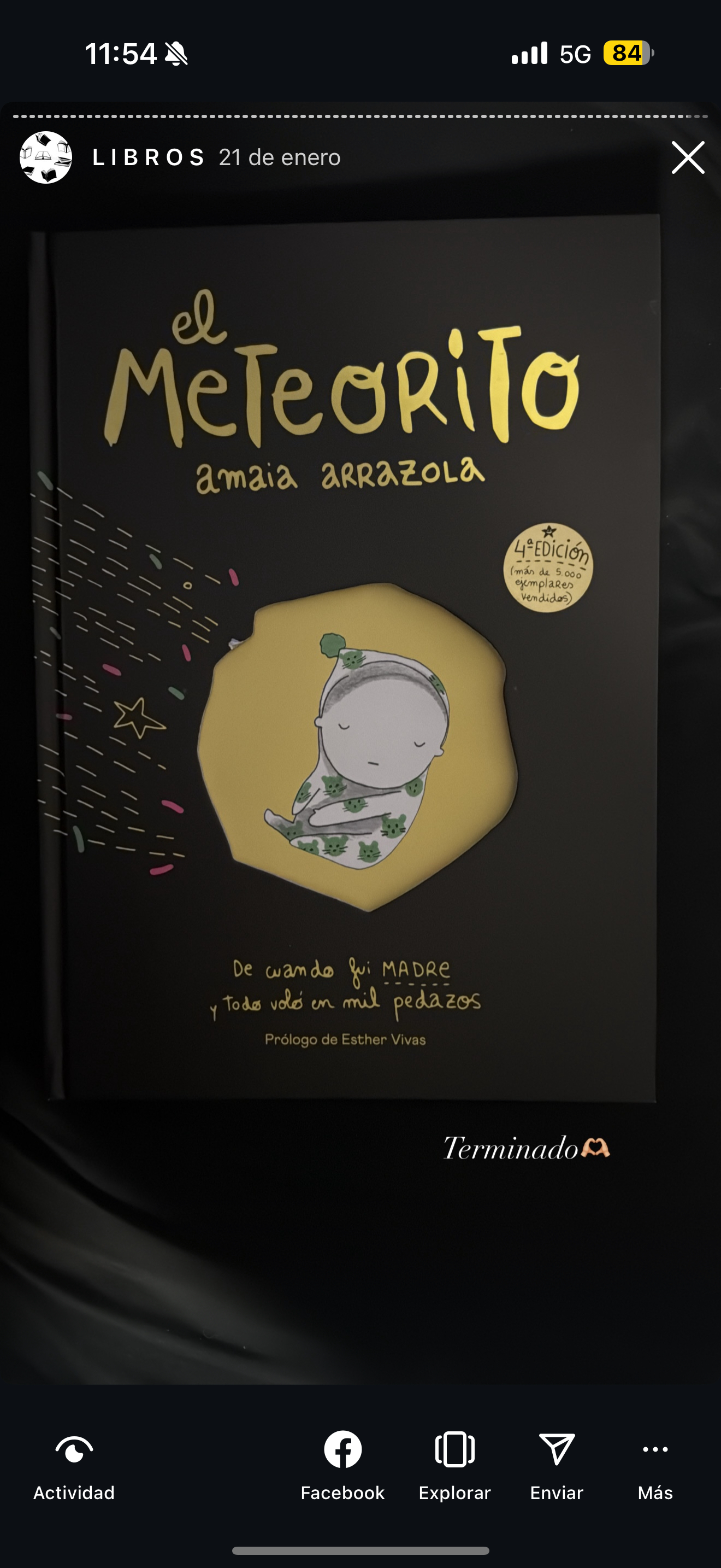 Book El meteorito. Amaia Arrazola