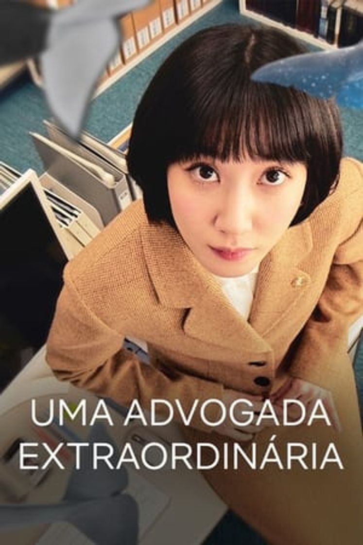 Serie Woo, Una Abogada Extraordinaria