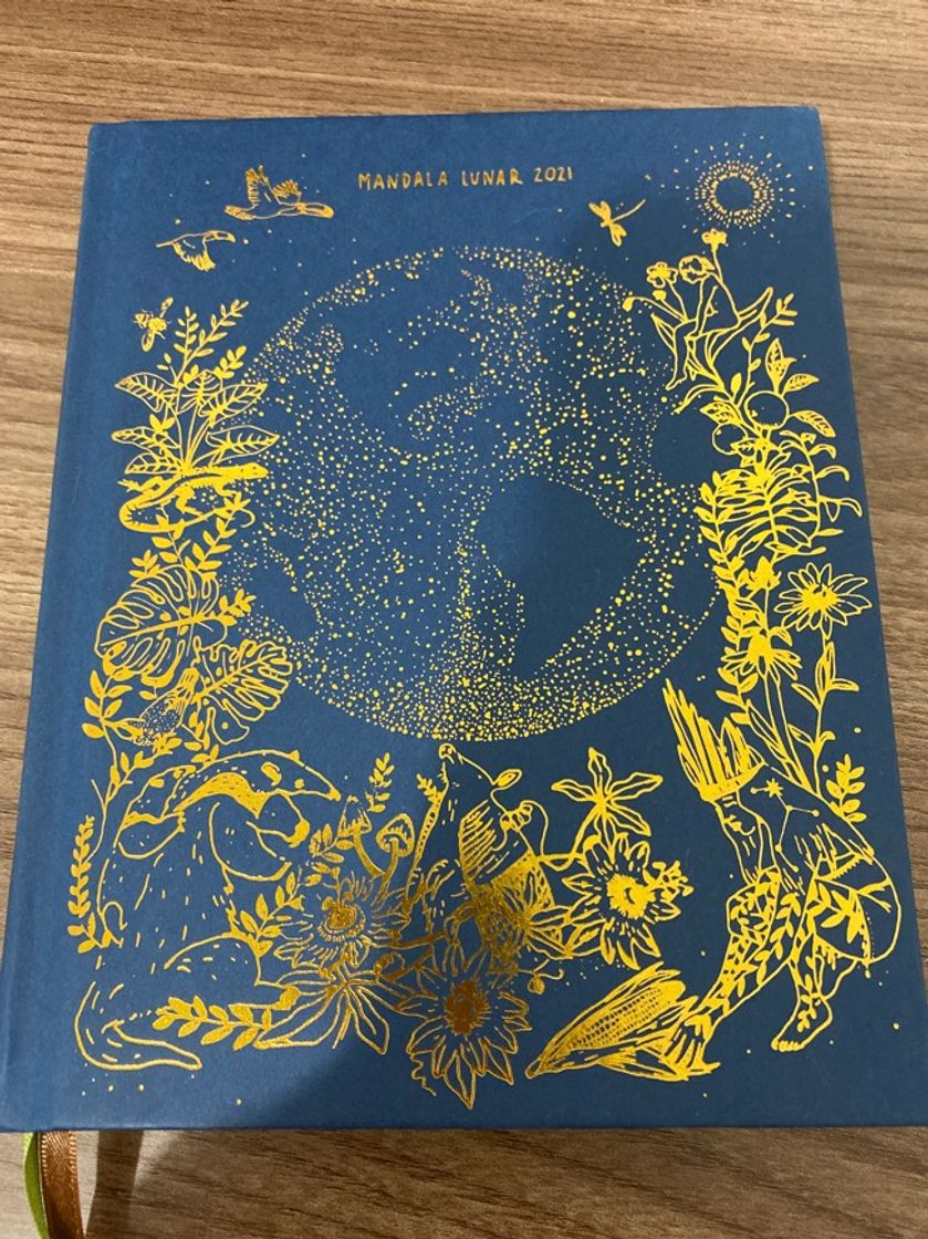 Social Mandala lunar 2021