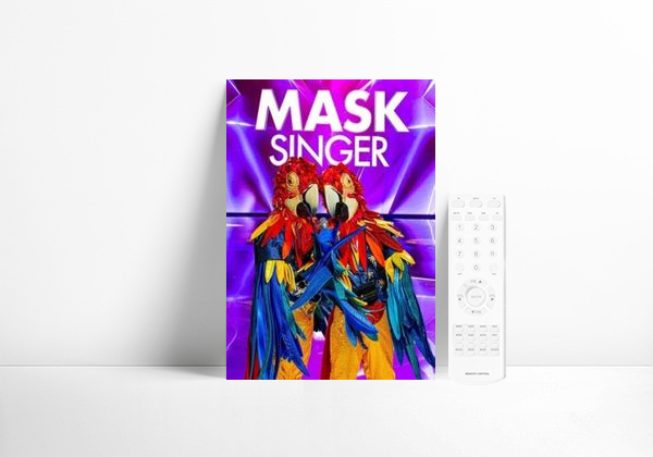 Serie Mask Singer