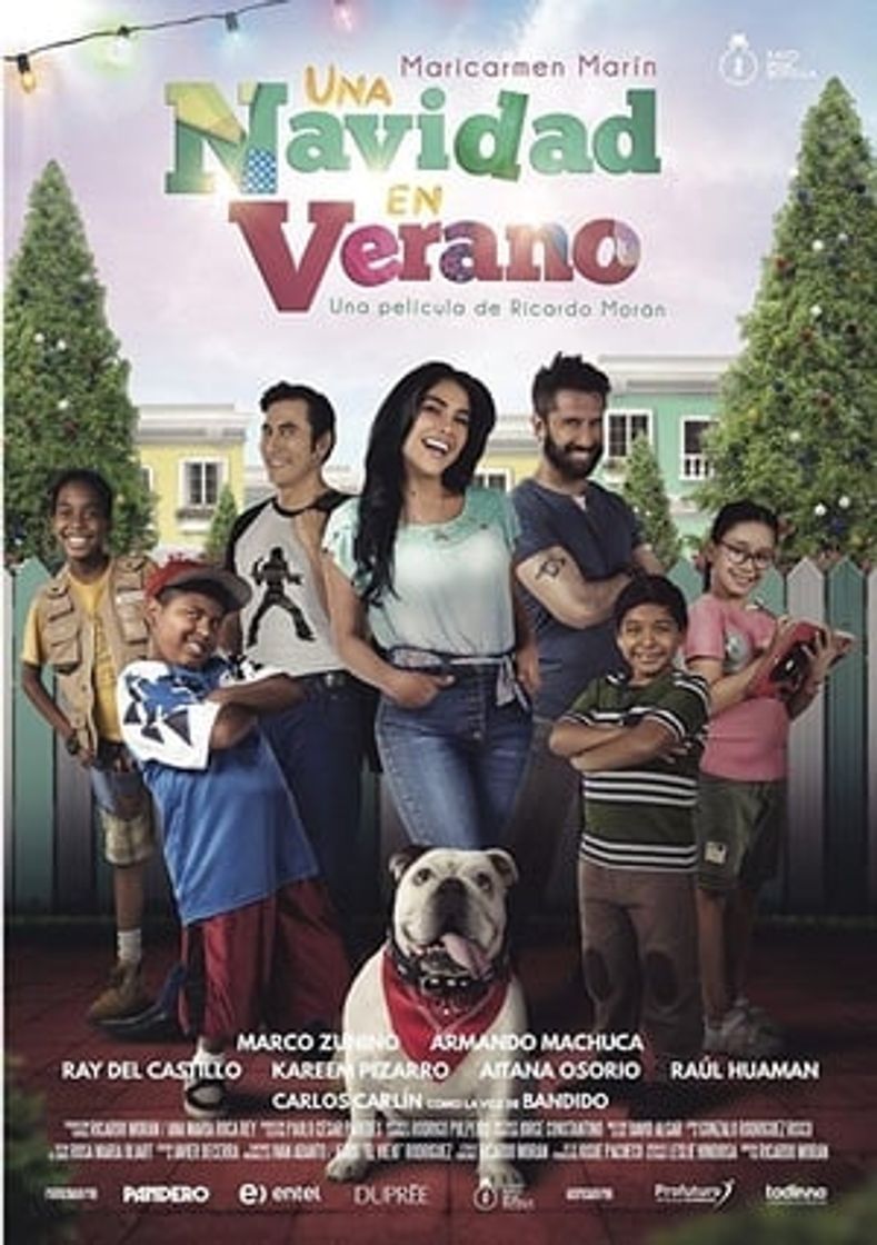 Película Una Navidad en verano