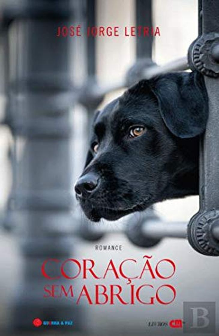 Libro Coração Sem Abrigo