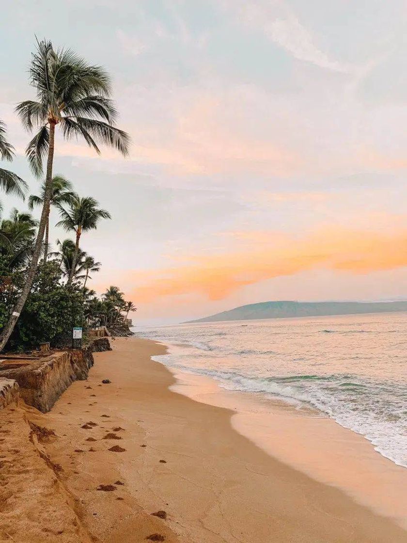 Place Hawaii 