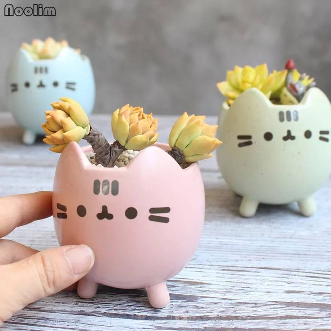 Producto Kawaii pusheen cat neko plants cup succulents cactus pot