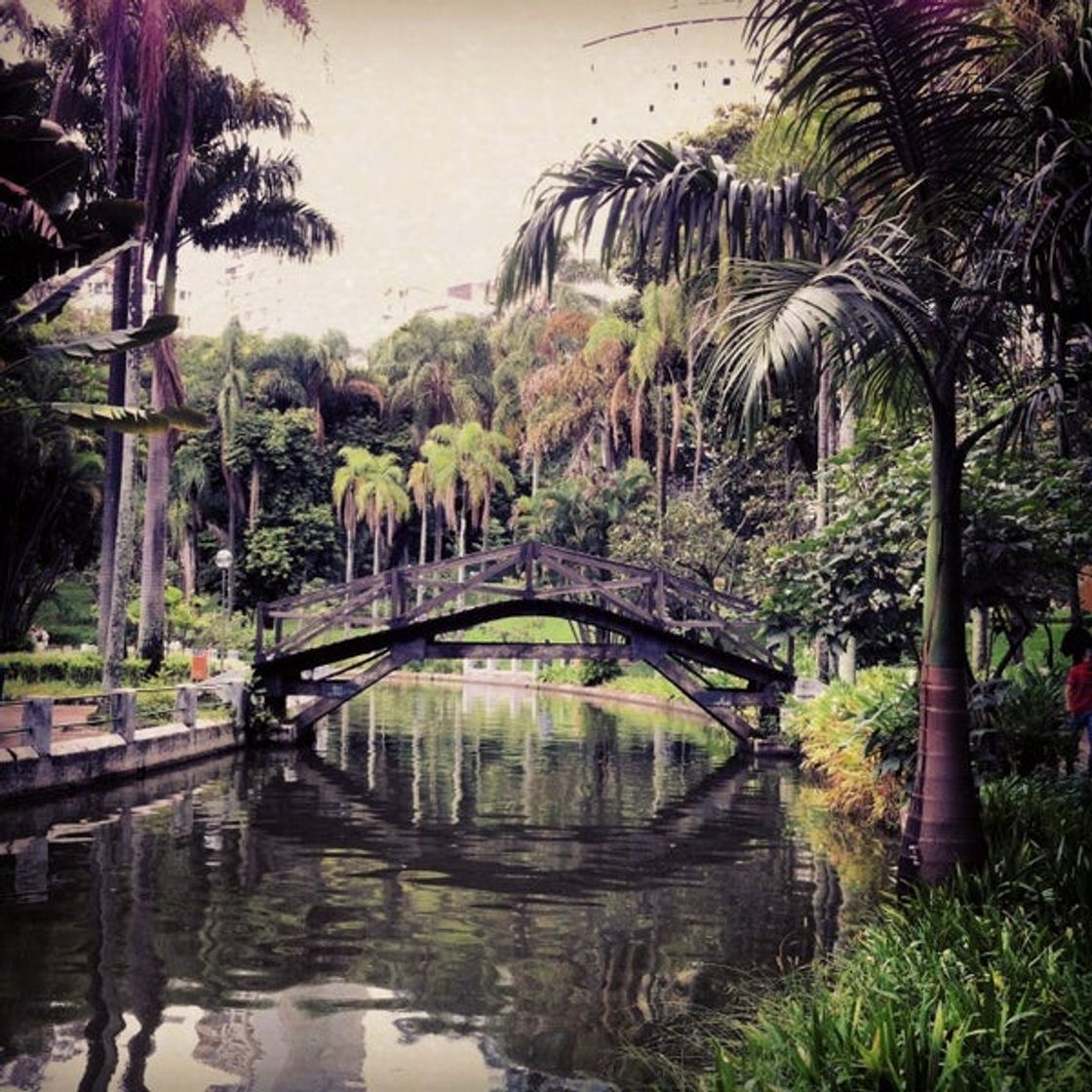 Place Parque Municipal Américo Renné Giannetti