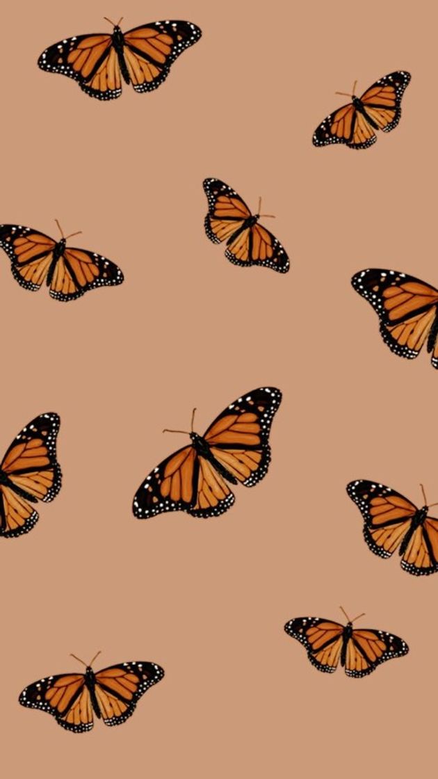 Moda Wallpaper borboleta 🦋 