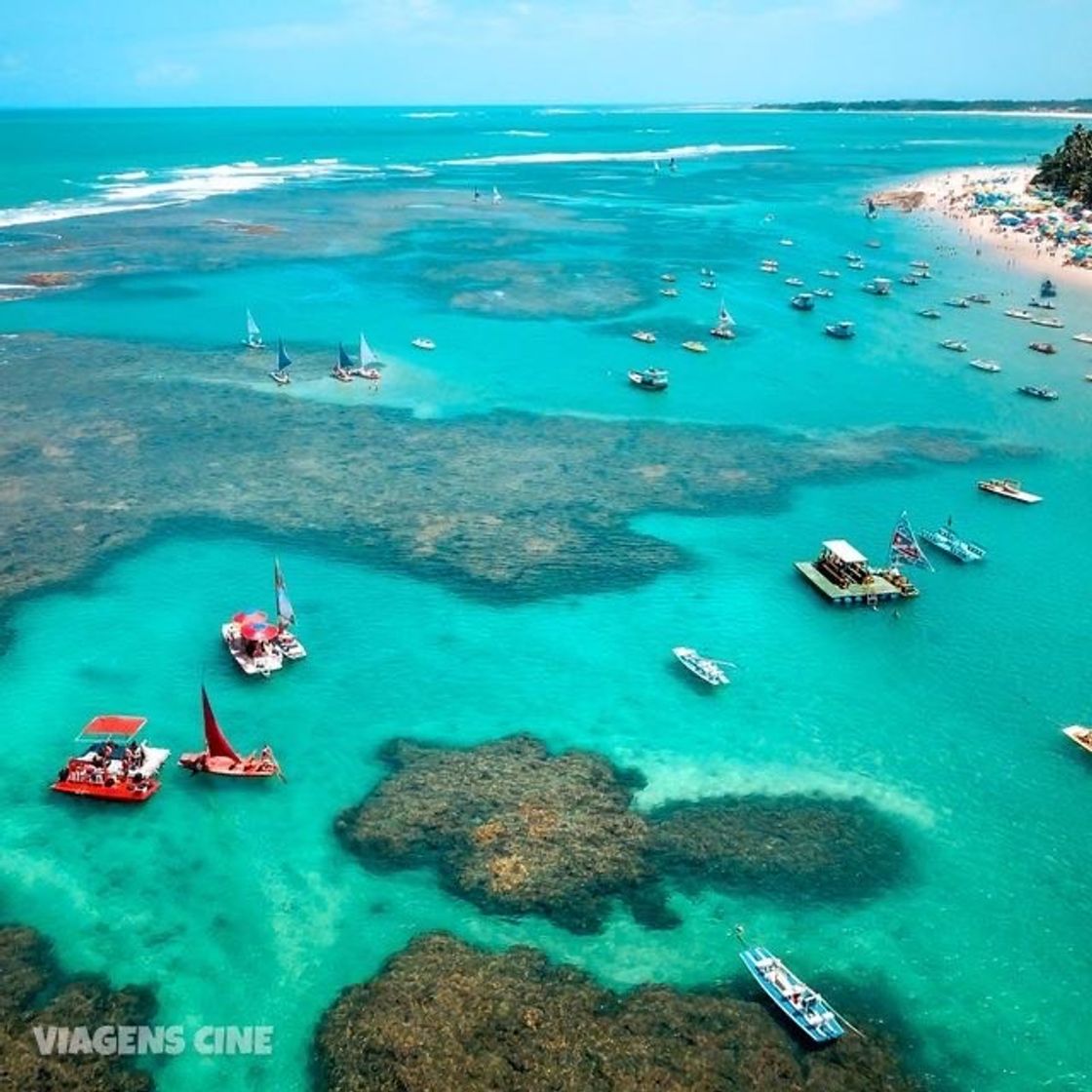 Moda Viajem Porto de Galinhas - Ipojuca 