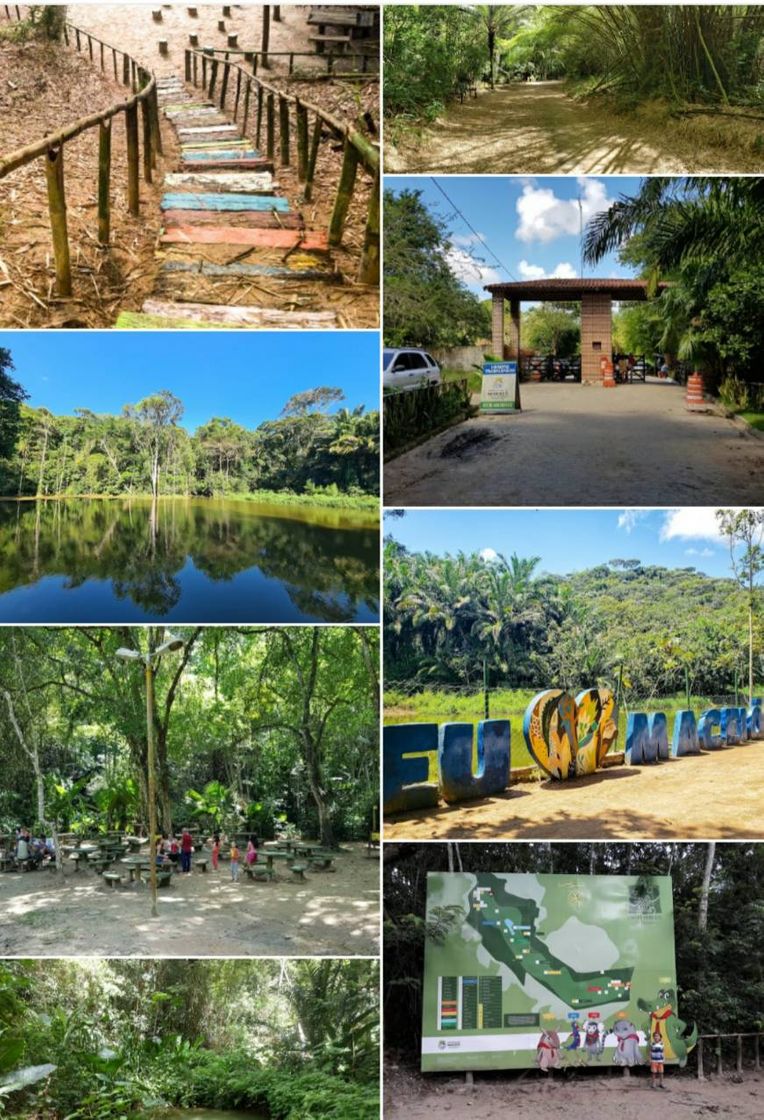 Place Parque Municipal de Maceió