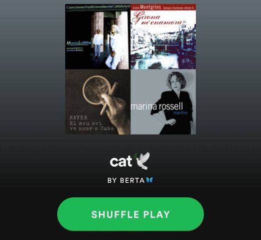 spotyfy playlist • cat