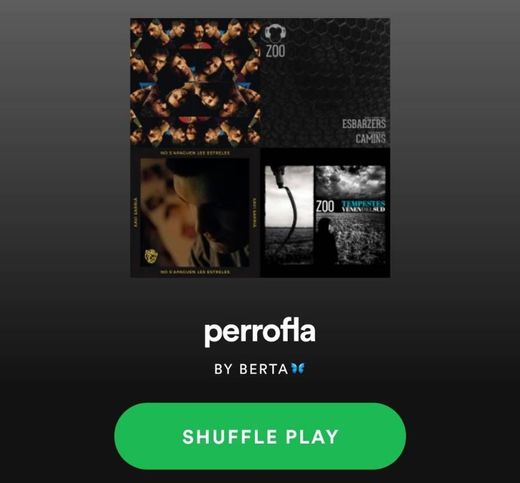    spotyfy playlist • perrofla