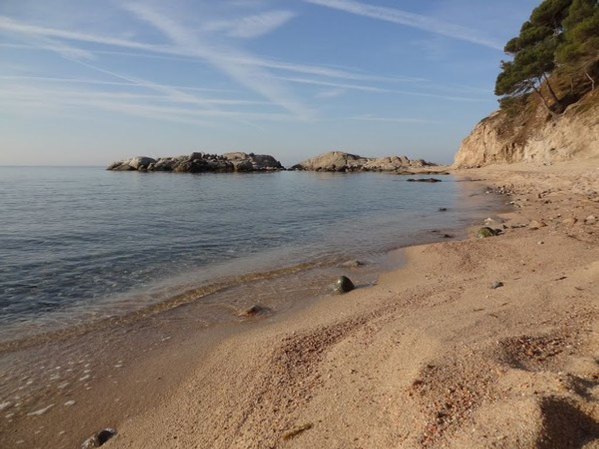 Lugares Cala Roca Bona