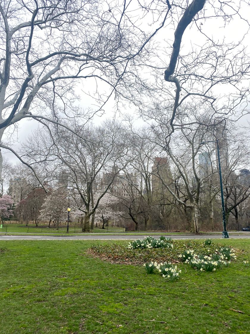 Lugar Central Park